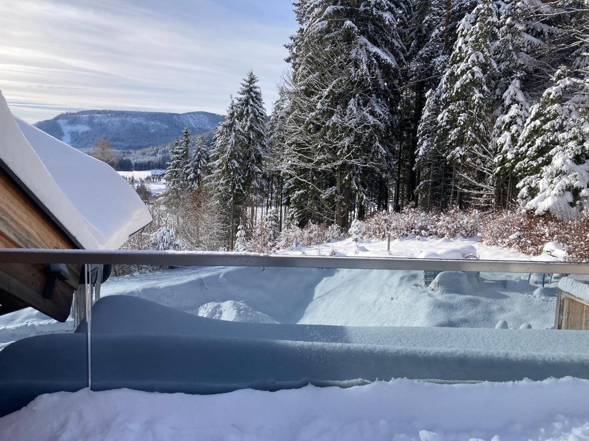 Alpen Luxury Lodge, Mariazell Exterior foto
